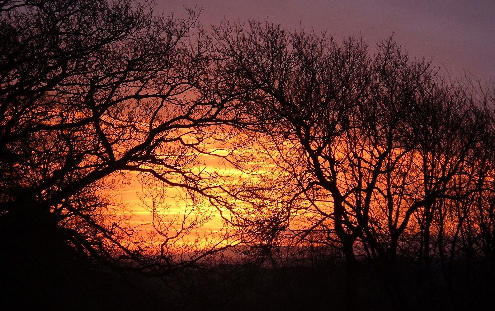 FIERY DAWN SUNRISE IN DEVON