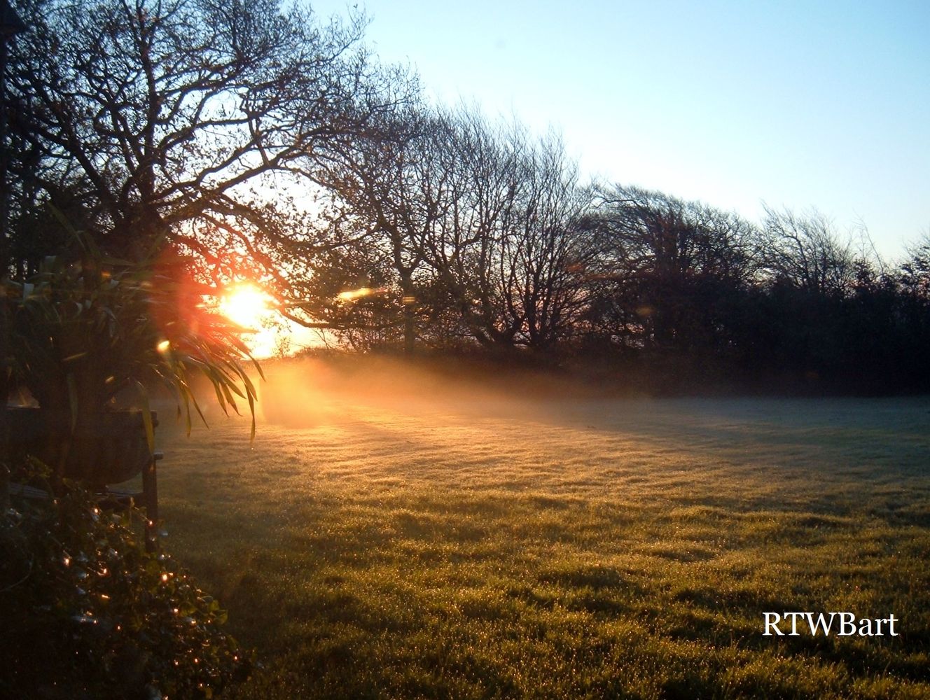 NEW DAWN FADES DEVON