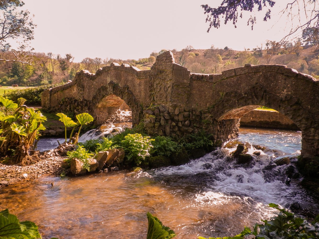 LOVERS BRIDGE DUNSTER EXMOOR SOMERSET