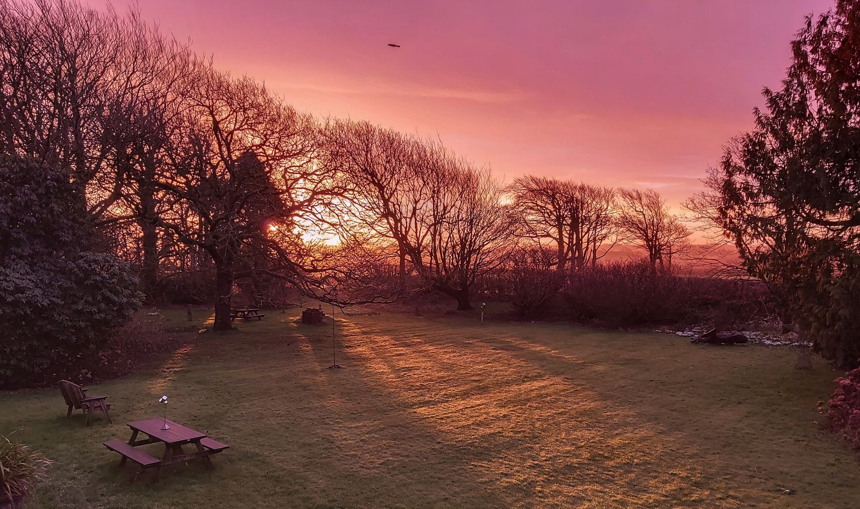 WINTER SUNRISE OVER DEVON GARDEN