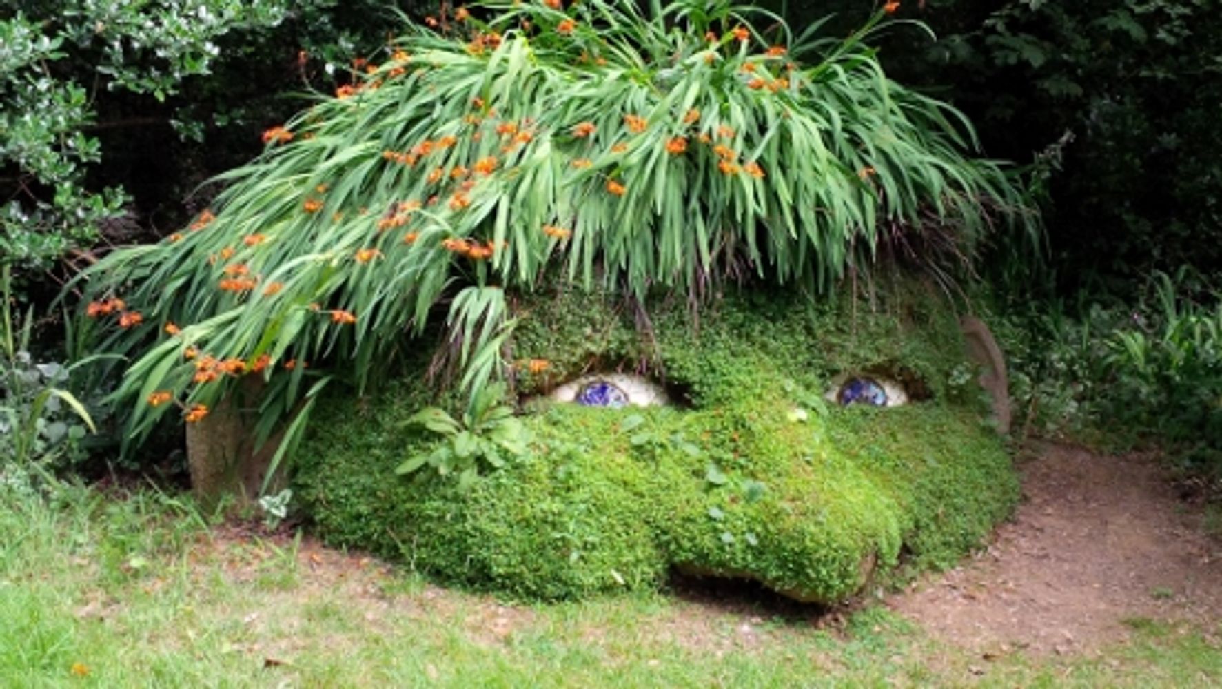 An amusing living sculpture of a giant's head made from plants at the Lost Gardens of Heligan in Cornwall