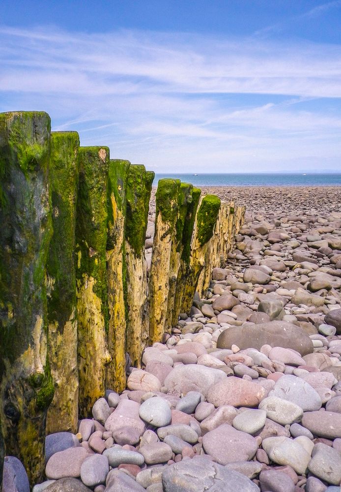 Wooden post beach groynes covered in seaweed extend to wards the sea and disappear into the pebbles at Porlock beach, Exmoor, Somerset, England, UK