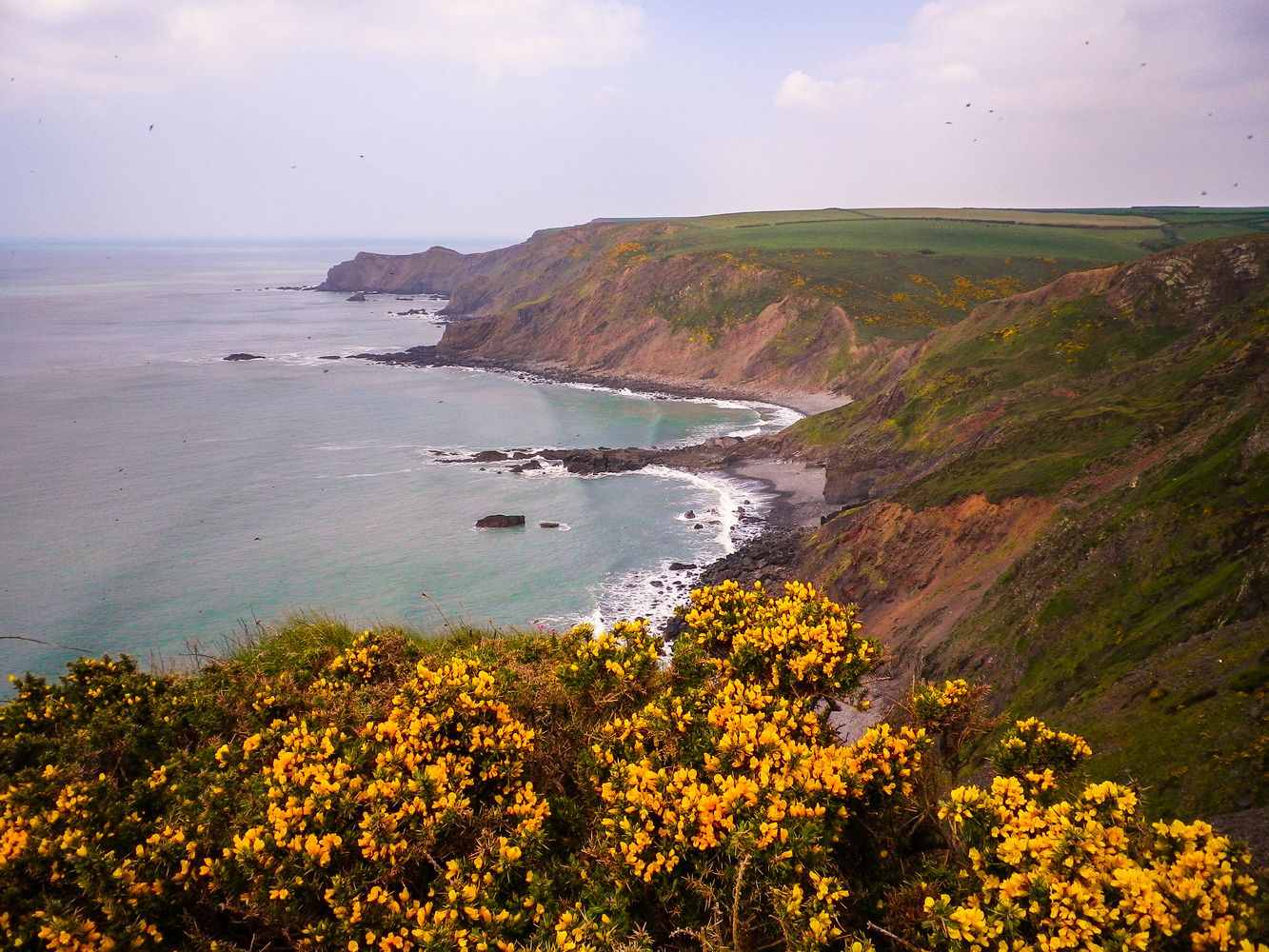 HARSCOTT HIGH CLIFF SEASCAPE DUCKPOOL CORNWALL