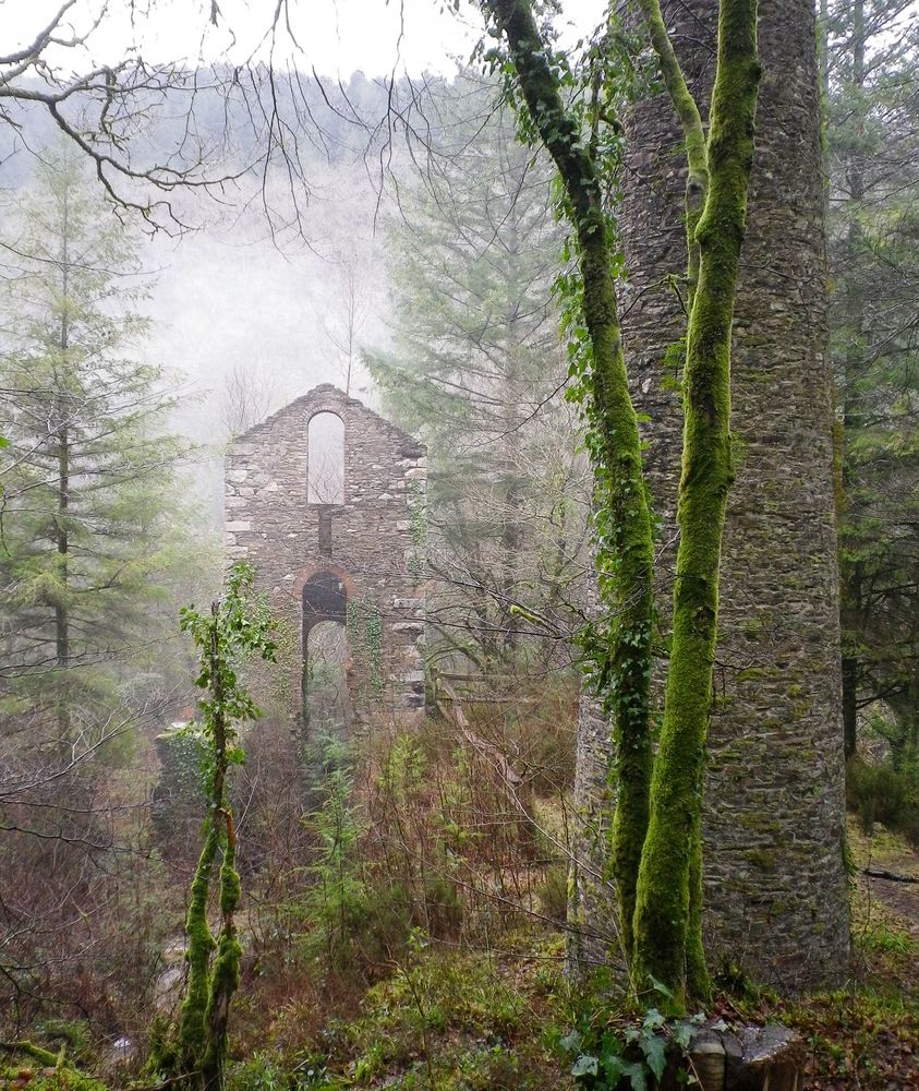 Ruined mine pumping engine house and chimney stack in misty woodland