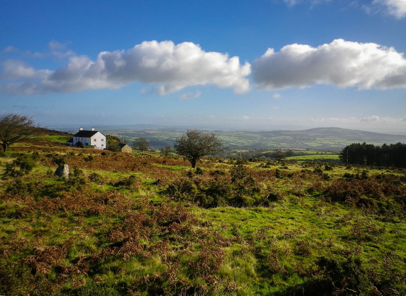 EAST CARADON HILL BODMIN MOOR CORNWALL