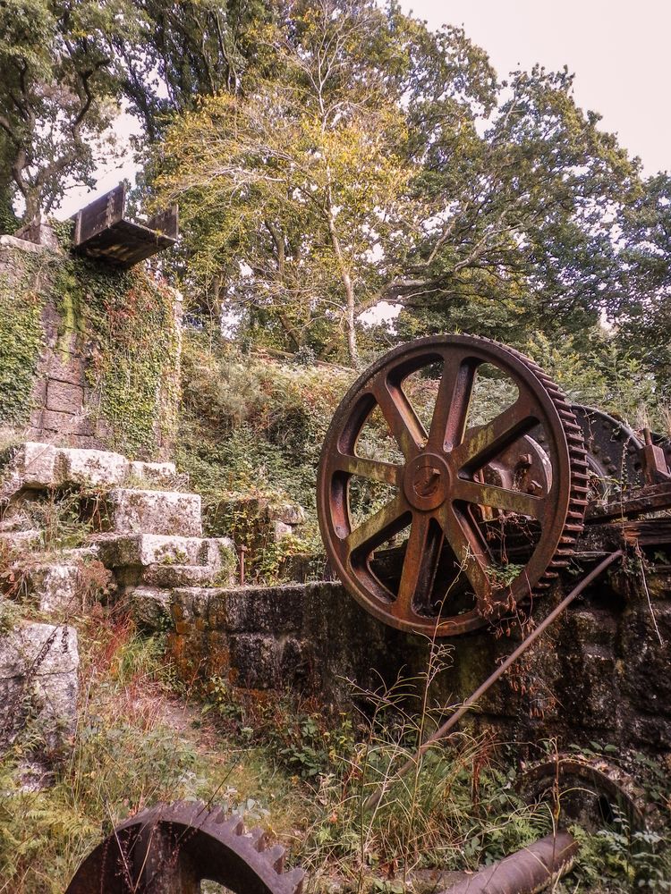 LUXULYAN ABANDONED WATERWHEEL CORNWALL