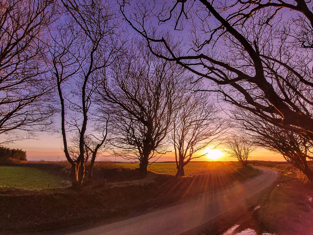 Winter sun setting behind bare silhouetted trees on a rural lane in Devon