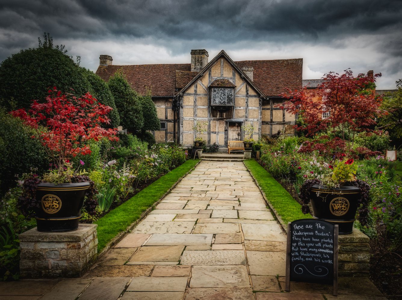 The Back Garden