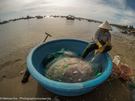 Vietnam: Mui ne Fishing village