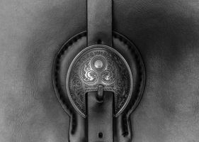 Vintage silver buckle on black leather, black & white photo (1 of 1)