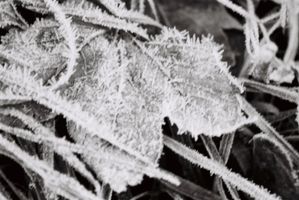 Scotish winter frost
