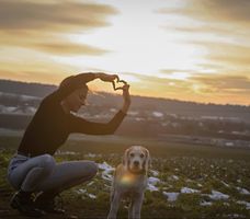 Owner with his Labrador Retriever with sunset background