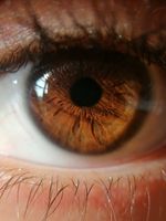 MACRO occhio marrone - foto macro