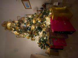 Christmast Tree