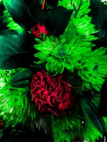 Green & Red flowers 