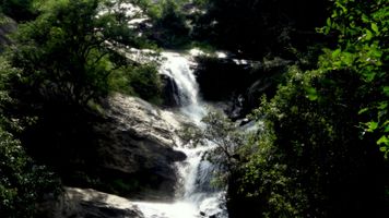 Pollachi - Monkey Falls