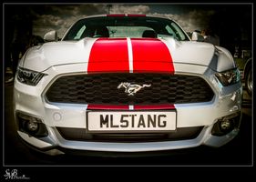 Mustang muscle car