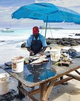 Local fish merchant by the sea