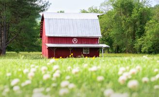 Red Barn in Field of Wildflowers - Spring Flowers - Country Barn - Rural Scene