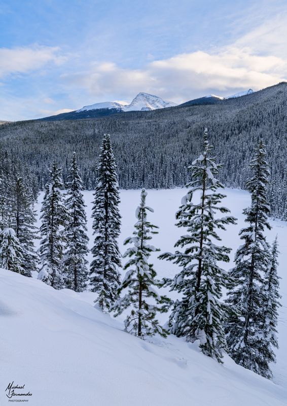 Winter Wonderland deep in the Canadian Rockies