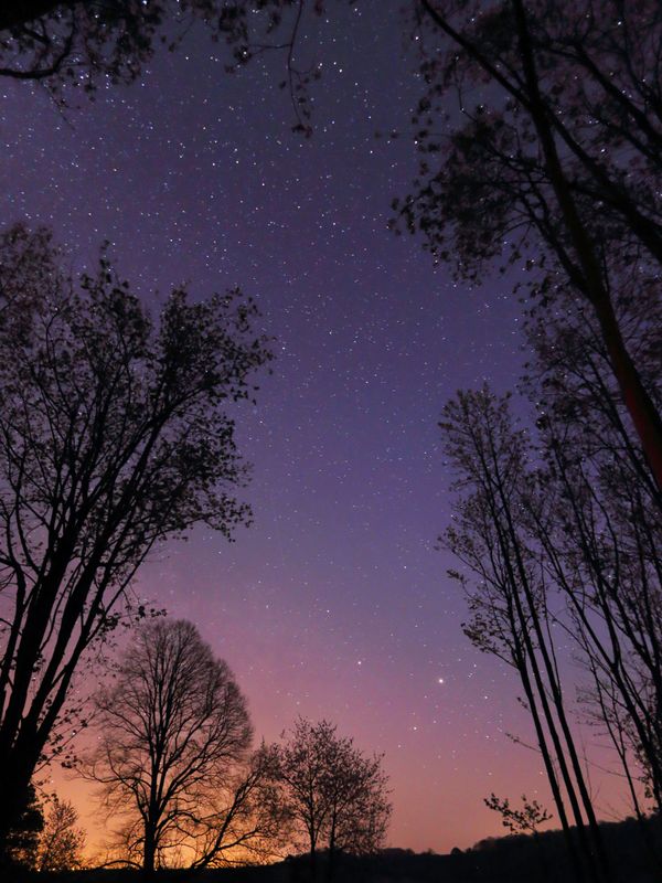 Stars over Hallr Wood Before Dawn