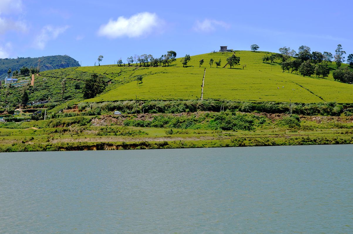 Lake Gregory & tea plantation.