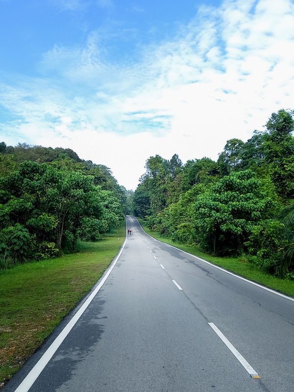 Malaysia jungle road