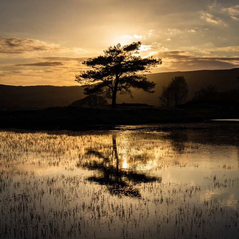 Kelly hall tarn  sunset near the Coniston mountain range in the lake district. Cumbria 