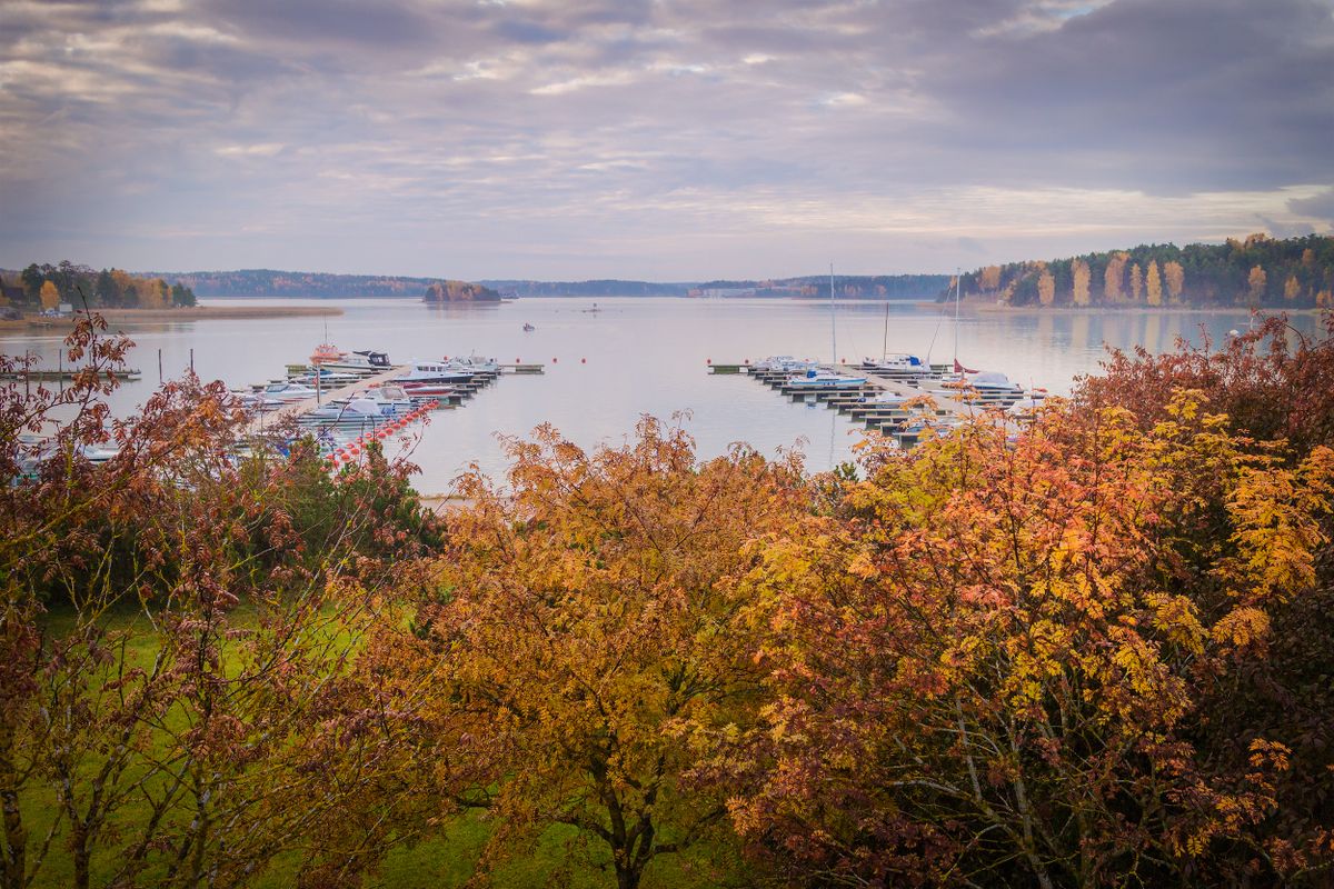 The harbour in autumn colours