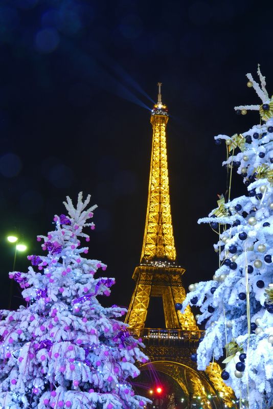 Christmas Trees in Paris at Night