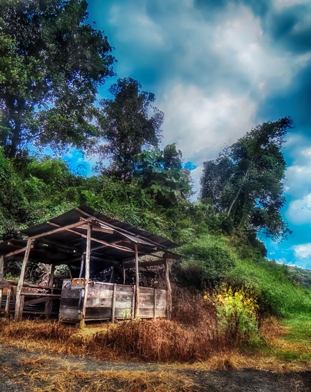 A lonely shack on the outskirts of Tamparuli.