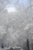 Snow covered trees on mountain road. White Christmas - Winter Wonderland