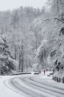 Heavy snow fall Christmas day in the Smoky Mountains. White Christmas, Winter Wonderland