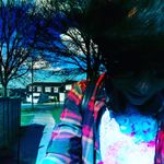 theOcelot Digital Art and Photography