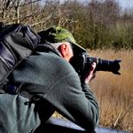 Tom Curtis Photography