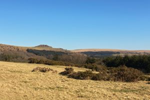 Sharpitor Dartmoor