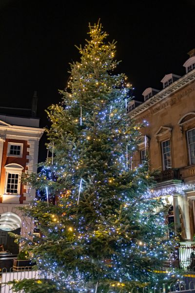 York Christmas Market 2019 #9 - Clickasnap - It pays to share