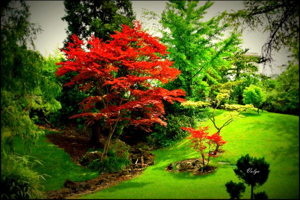 Beautiful garden - Clickasnap - It pays to share