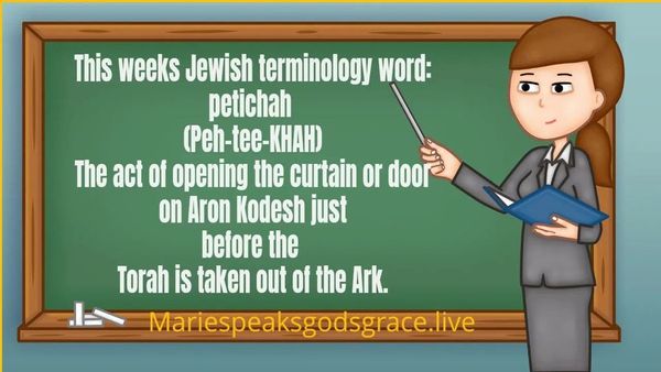 This weeks Jewish terminology word: petichah