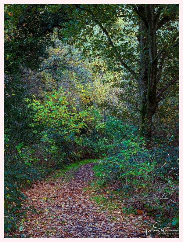 Pathway