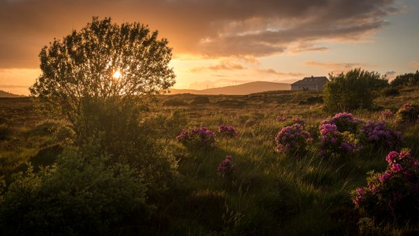 Dunlewey Sunset 1