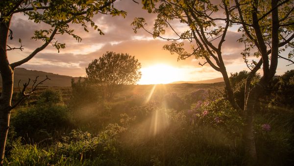 Dunlewey Sunset 2