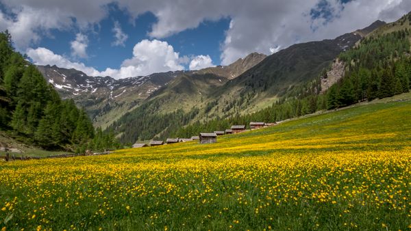 Unterstalleralm
