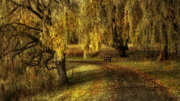 Moses Gate Country Park 5
