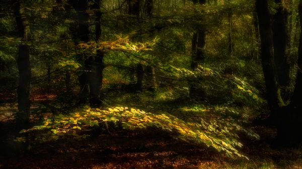 A glimpse of sunlight