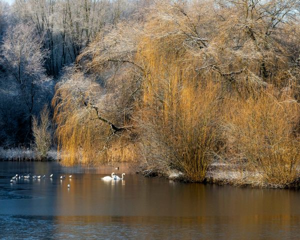Moses Gate Country Park 6