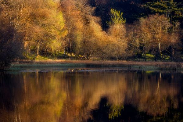 Yew Tree Tarn, Lake District