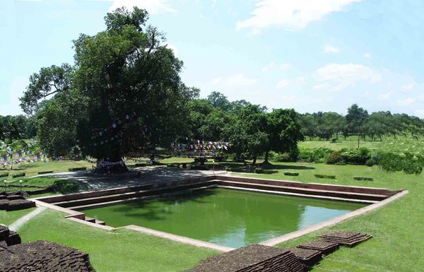 Sacred pond.