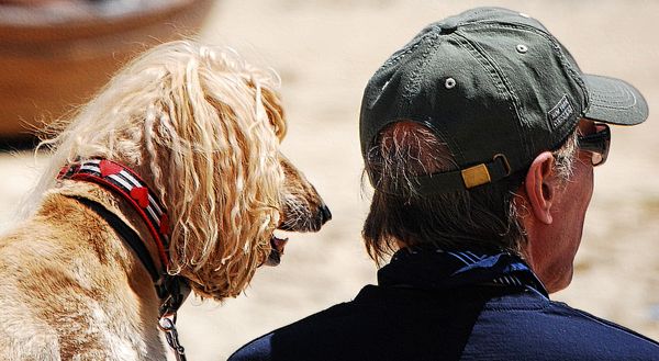 Best Friends...