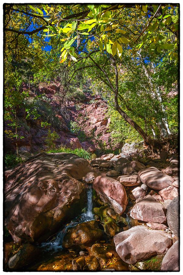 Pine Creek